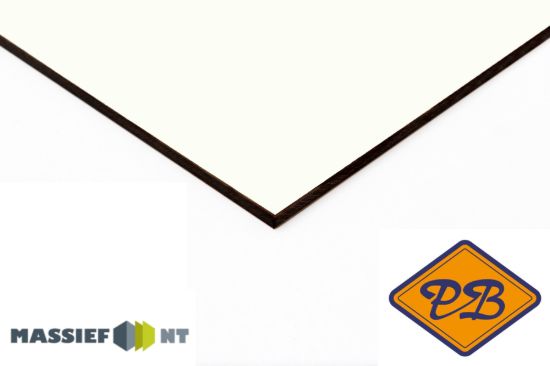 Afbeelding van Plastica Massief NT ® exterieur gevelplaat 0085 uni wit