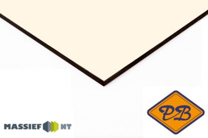 Afbeeldingen van Plastica Massief NT ® exterieur gevelplaat 0851 winterwit