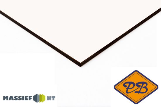 Afbeelding van Plastica Massief NT ® exterieur gevelplaat 0091 sneeuwwit