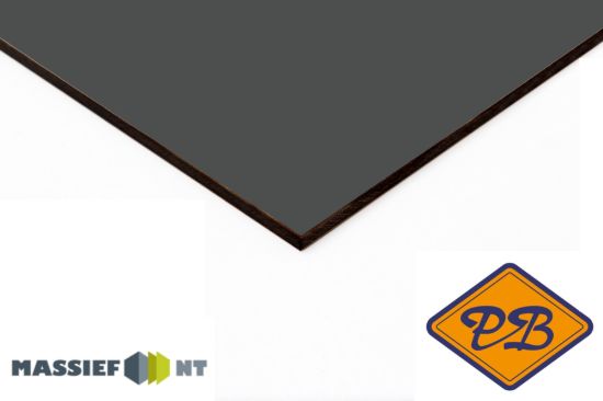 Afbeelding van Plastica Massief NT ® exterieur gevelplaat 0900 cybergrijs